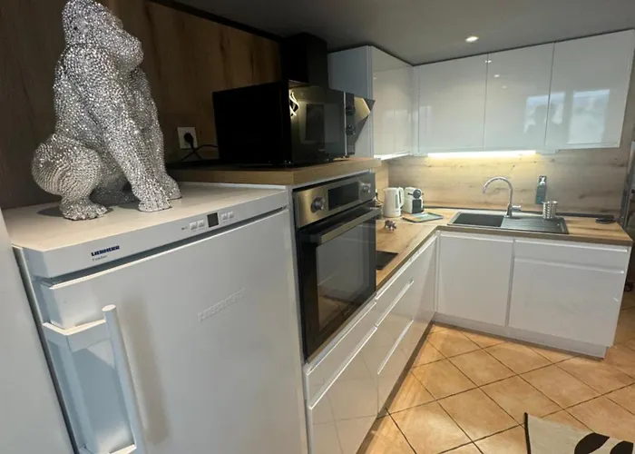 En Duplex Nice